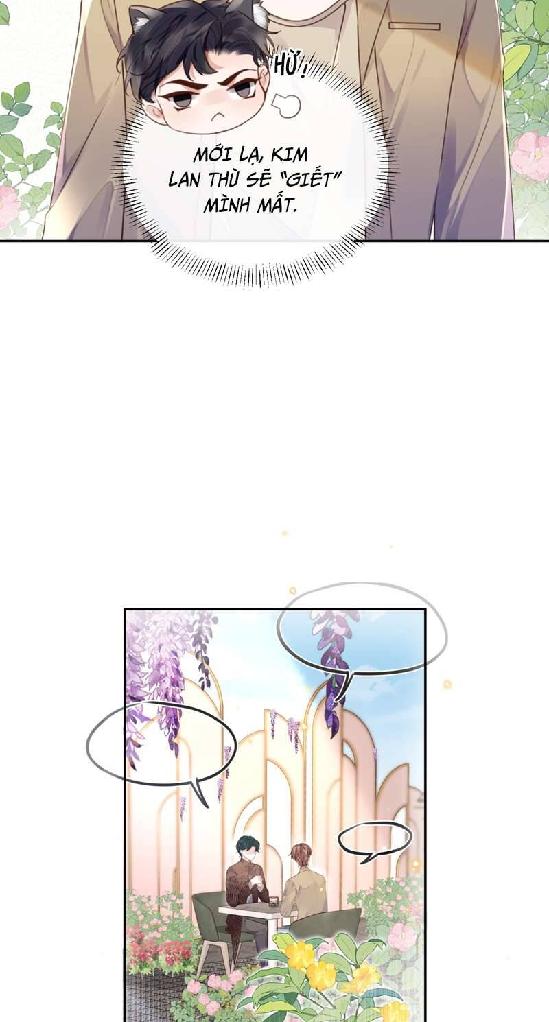 Tổng Tài Định Chế Tư Nhân Chapter  47 - 28