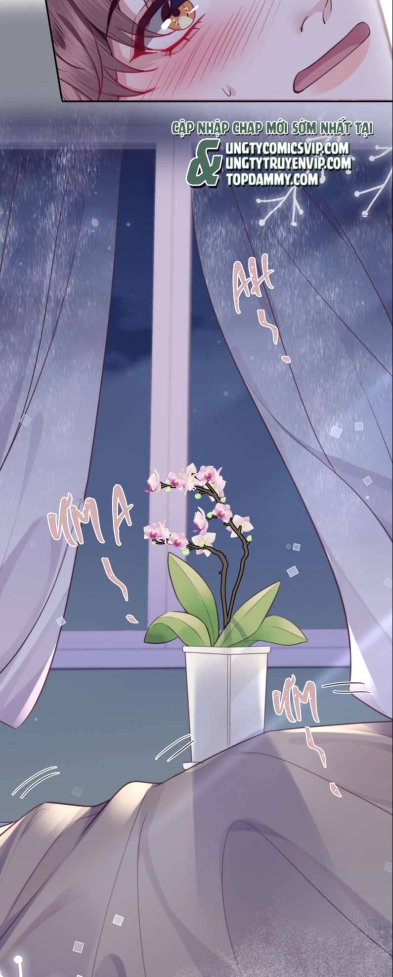 Tổng Tài Định Chế Tư Nhân Chapter  49 - 33