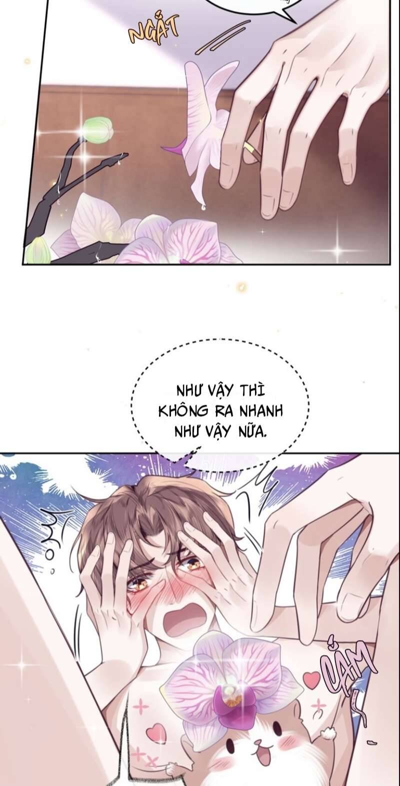 Tổng Tài Định Chế Tư Nhân Chapter 52 - 24