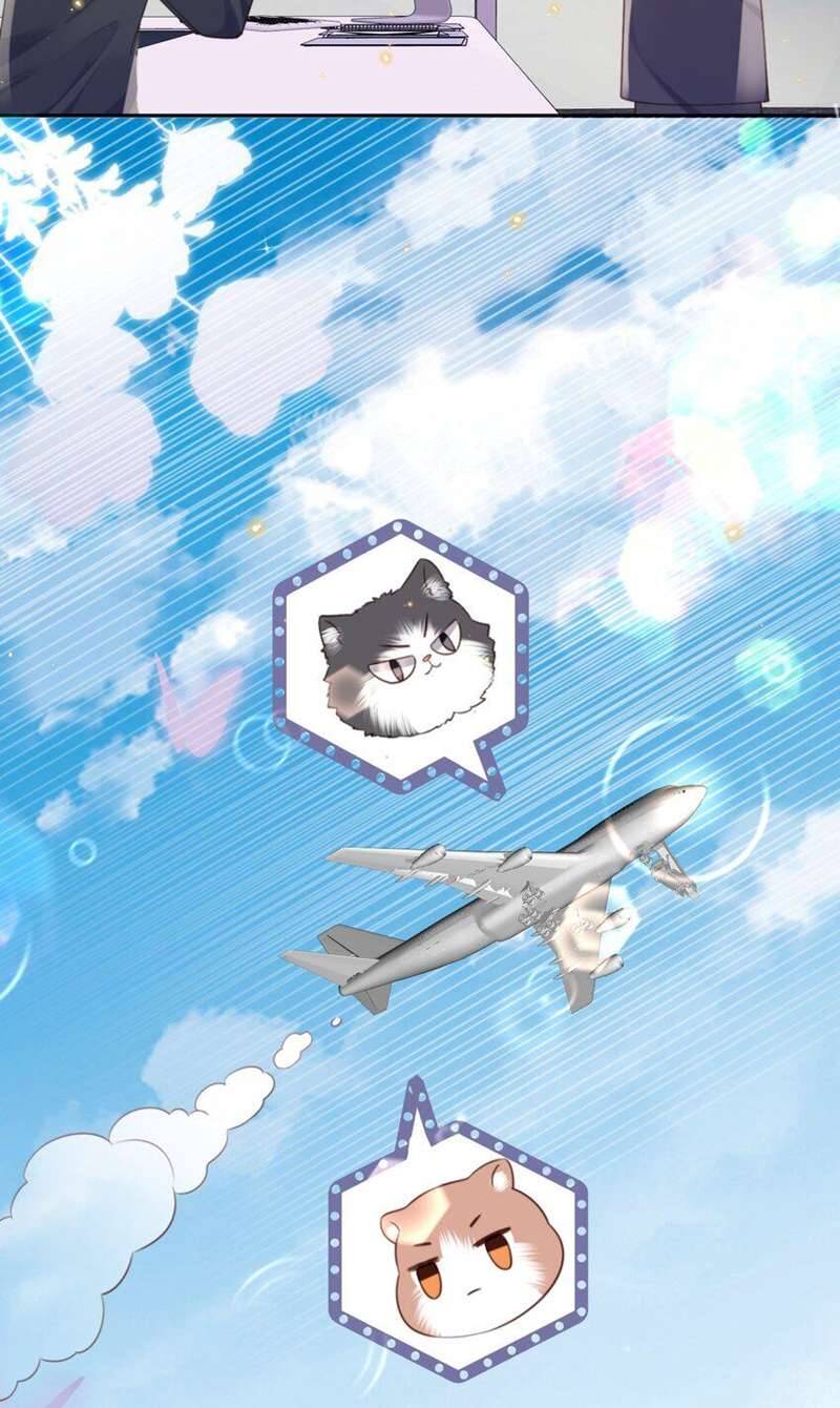 Tổng Tài Định Chế Tư Nhân Chapter  58 - 17