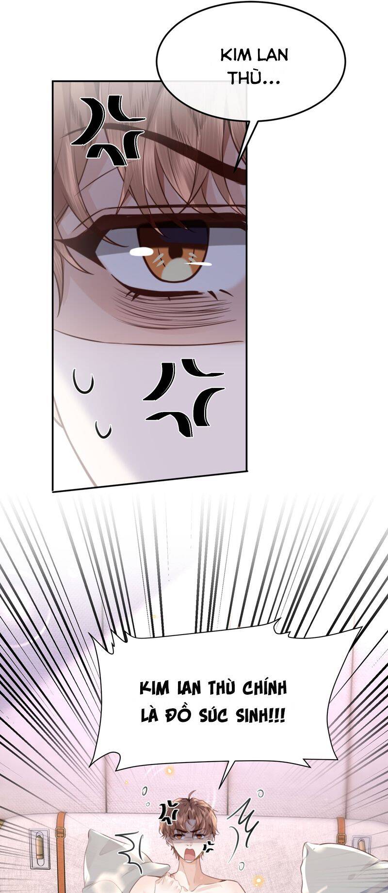 Tổng Tài Định Chế Tư Nhân Chapter  65 - 28