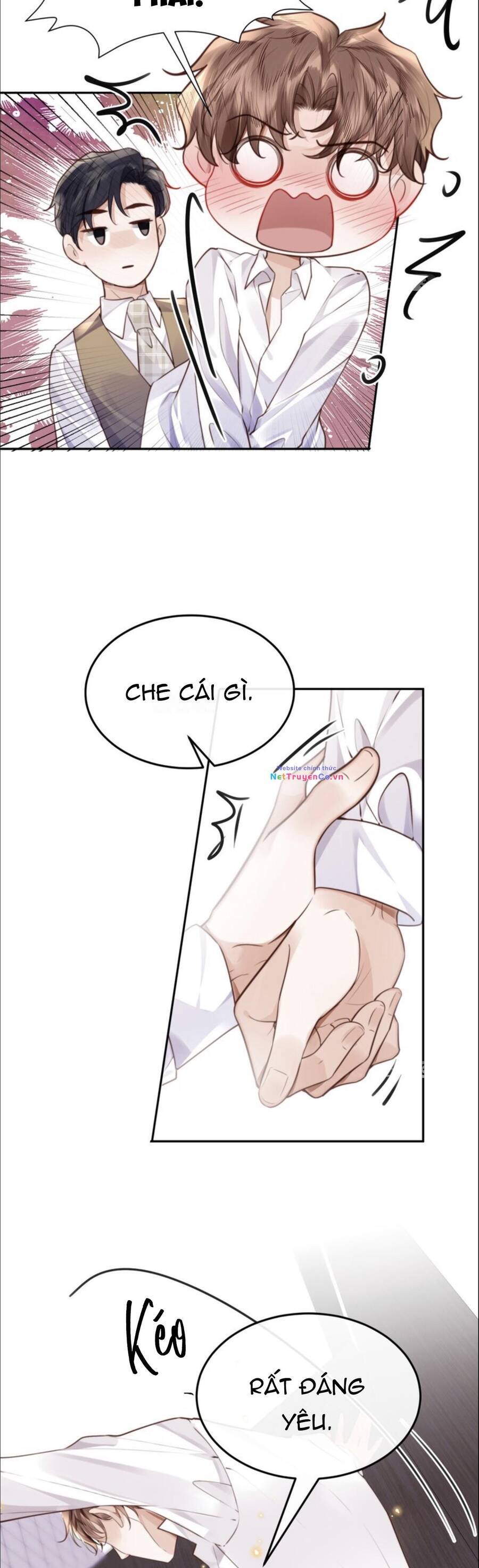 Tổng Tài Định Chế Tư Nhân Chapter  71 - 4