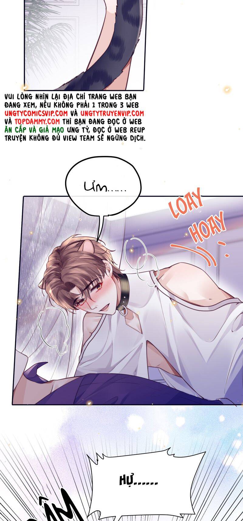 Tổng Tài Định Chế Tư Nhân Chapter  77 - 21