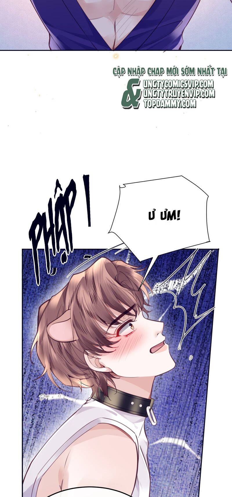 Tổng Tài Định Chế Tư Nhân Chapter  77 - 28