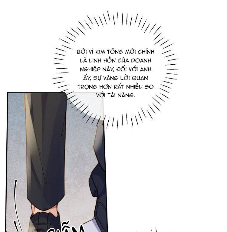 Tổng Tài Định Chế Tư Nhân Chapter 8 - 48
