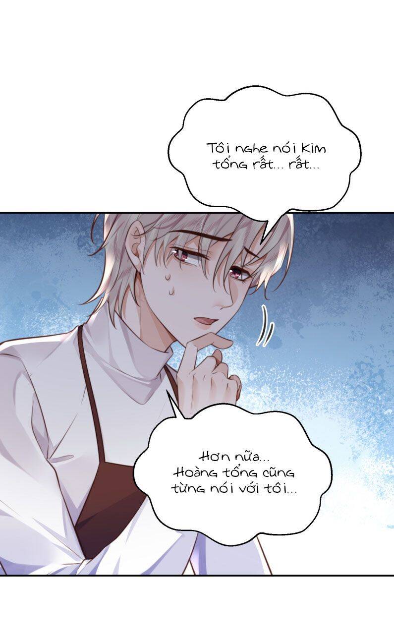 Tổng Tài Định Chế Tư Nhân Chapter 90 - 33