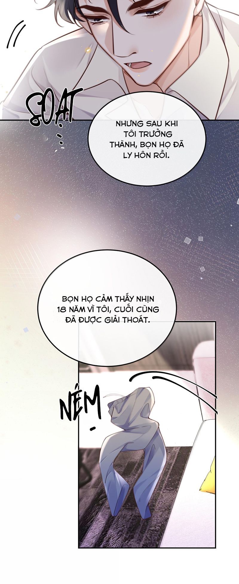 Tổng Tài Định Chế Tư Nhân Chapter 96 - 30