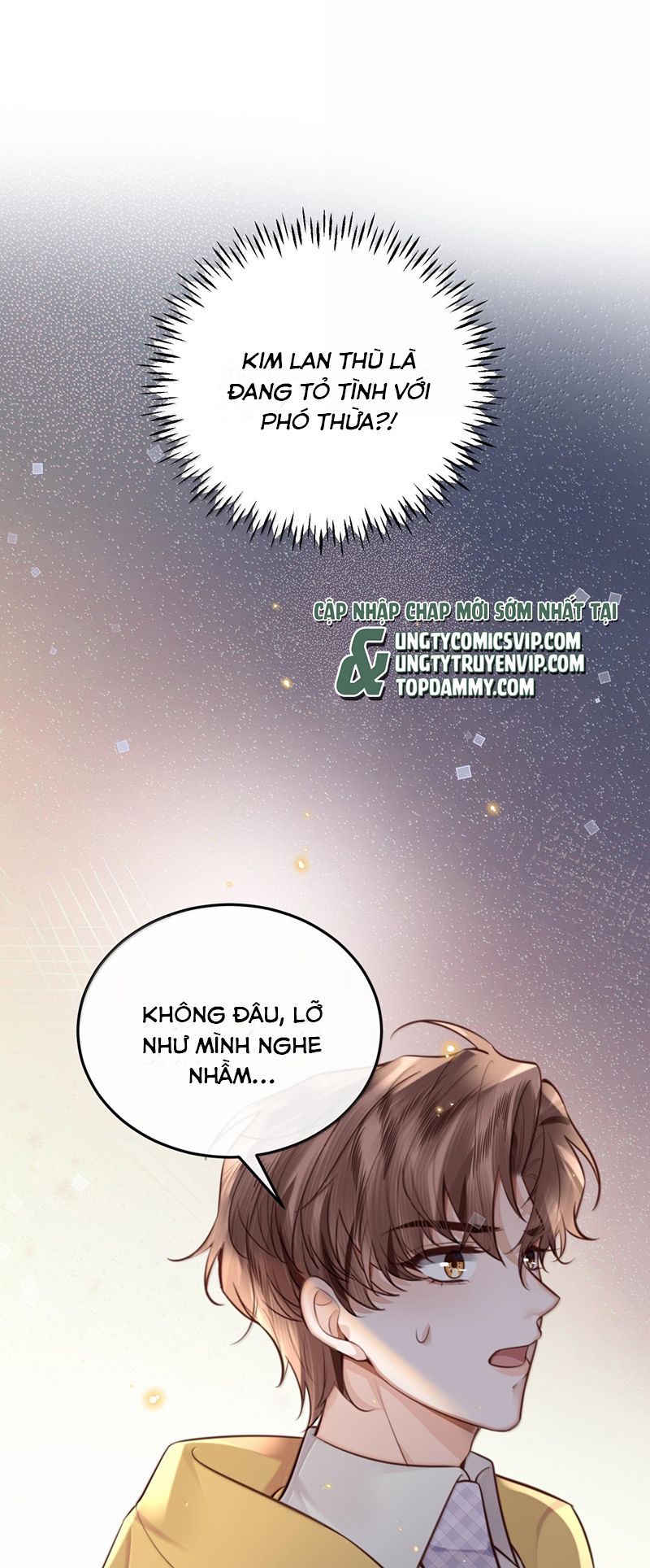 Tổng Tài Định Chế Tư Nhân Chapter 96 - 4