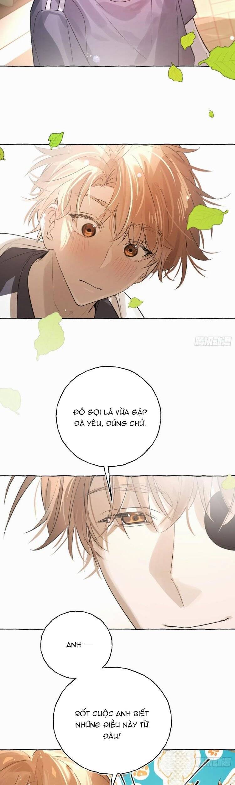 Lãm Nguyệt Triều Minh Chapter 40 - 19