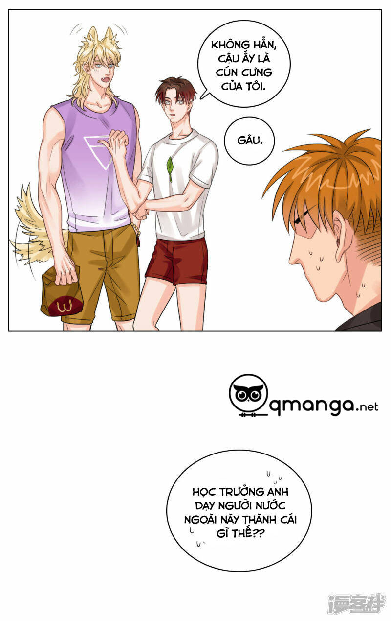 Ký Túc Xá Nam Phòng 303 Chapter 2 - 15