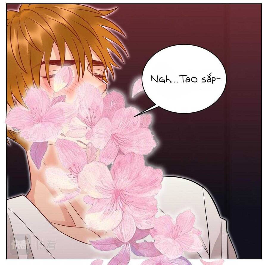 Ký Túc Xá Nam Phòng 303 Chapter 232 - 20