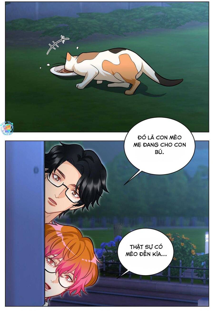 Ký Túc Xá Nam Phòng 303 Chapter 237 - 17
