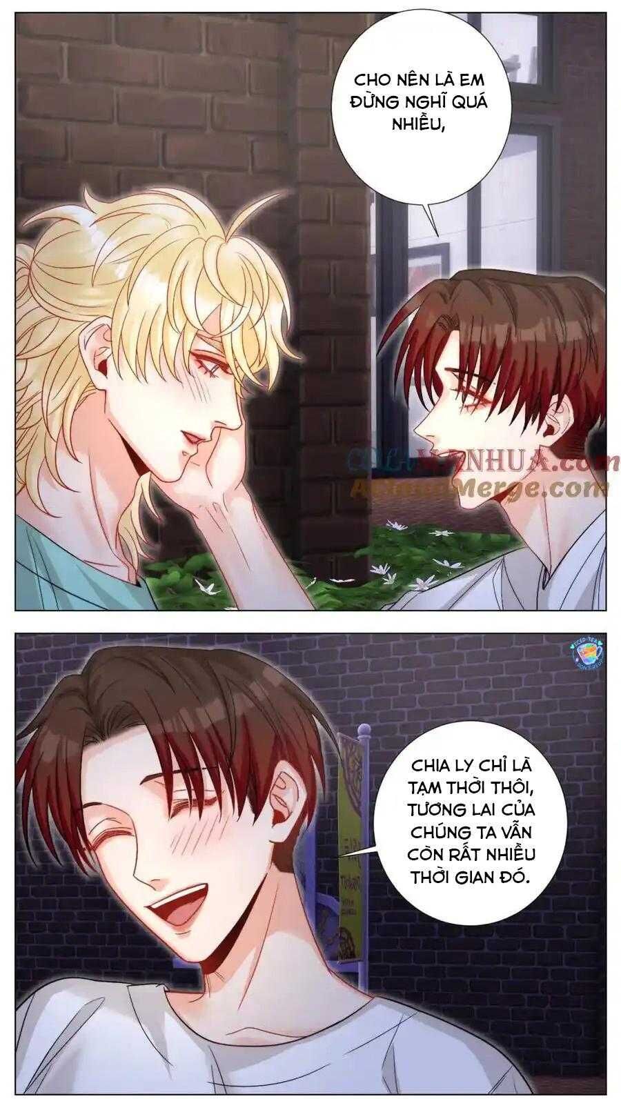 Ký Túc Xá Nam Phòng 303 Chapter 244 - 15