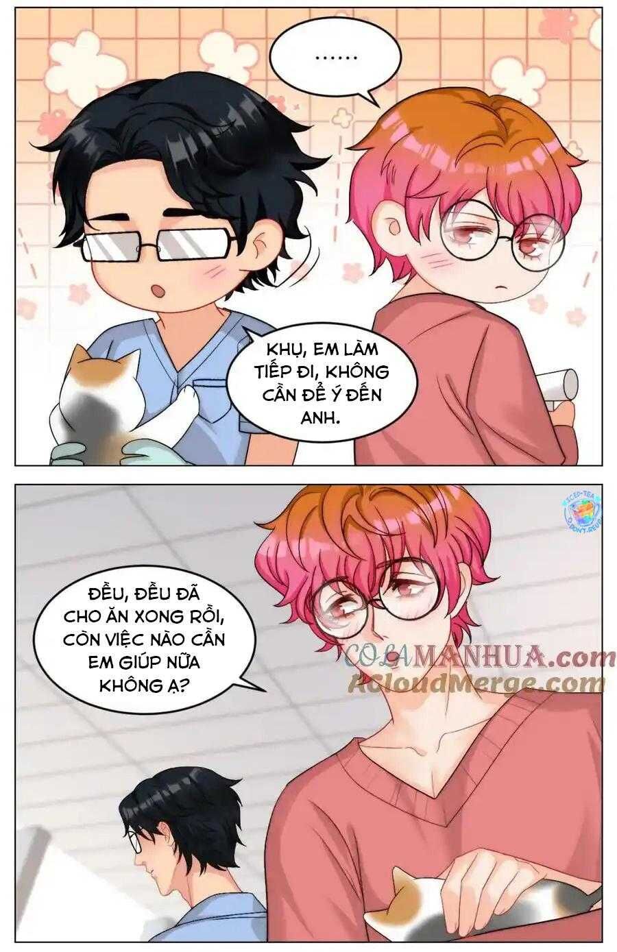 Ký Túc Xá Nam Phòng 303 Chapter 245 - 4