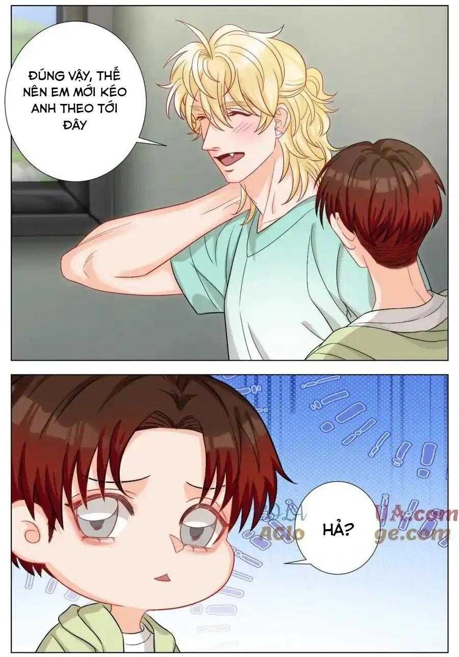 Ký Túc Xá Nam Phòng 303 Chapter 246 - 4