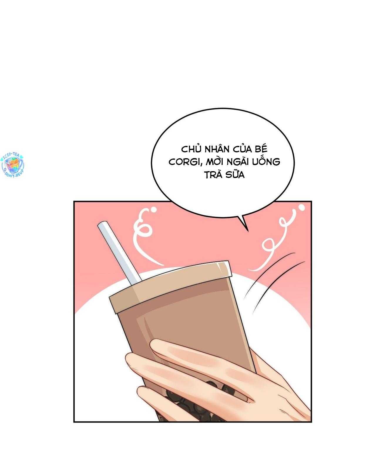 Ký Túc Xá Nam Phòng 303 Chapter 256 - 5