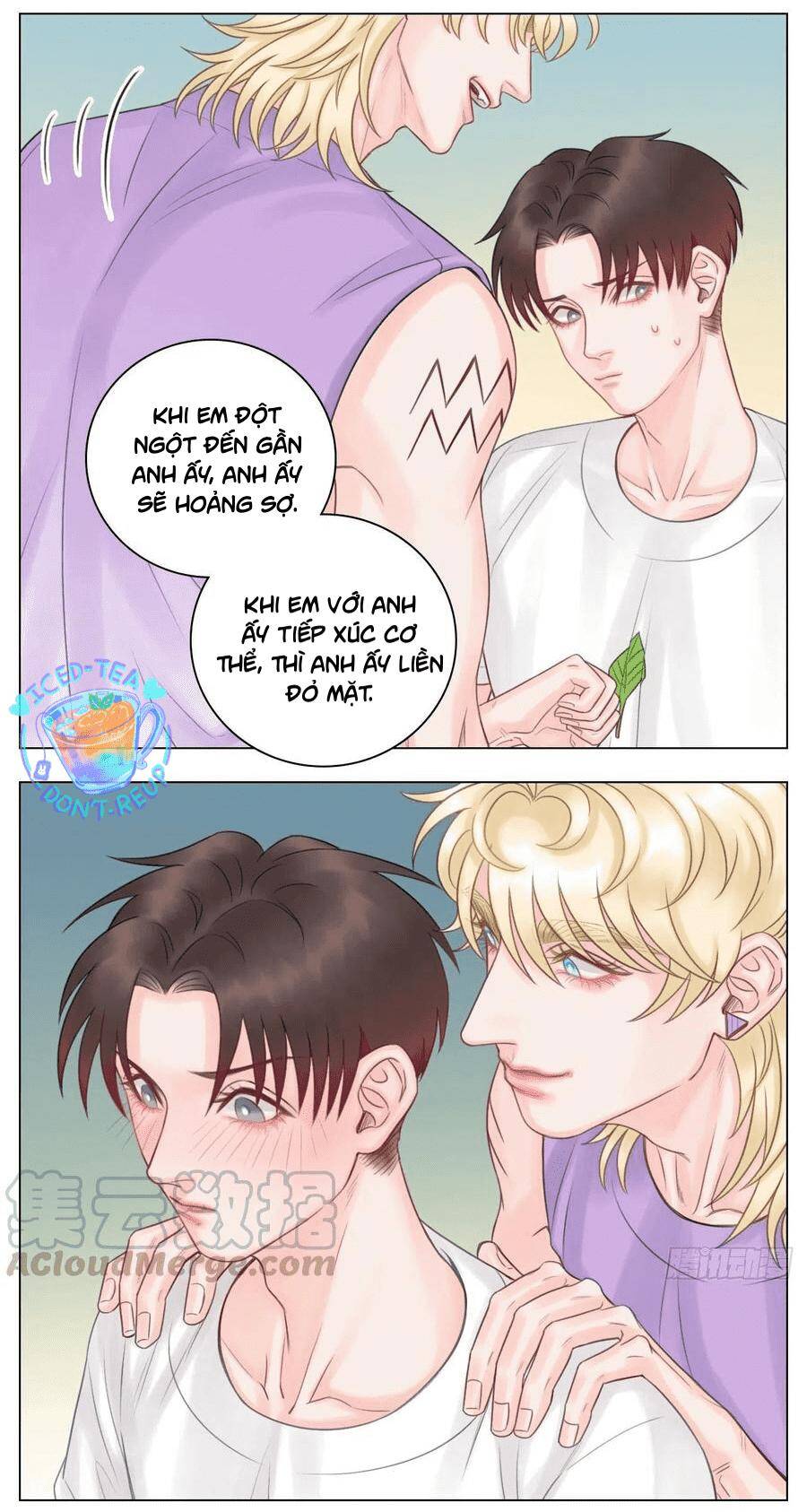 Ký Túc Xá Nam Phòng 303 Chapter 48 - 28