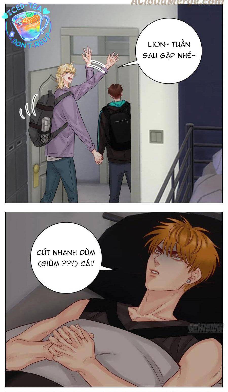 Ký Túc Xá Nam Phòng 303 Chapter 50 - 36
