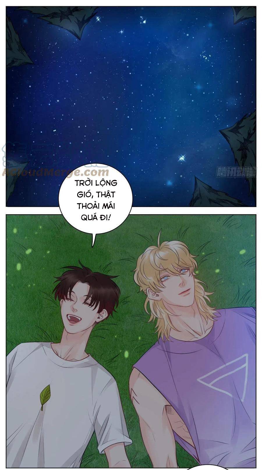 Ký Túc Xá Nam Phòng 303 Chapter 51 - 17