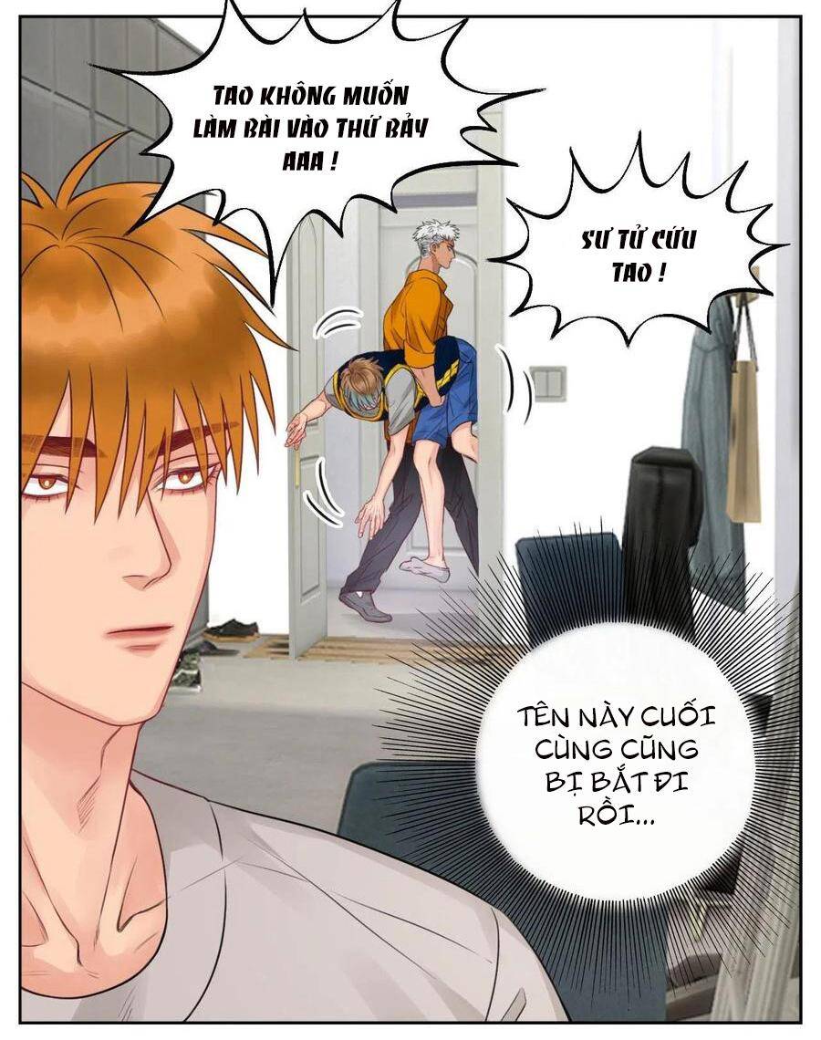 Ký Túc Xá Nam Phòng 303 Chapter 52 - 6