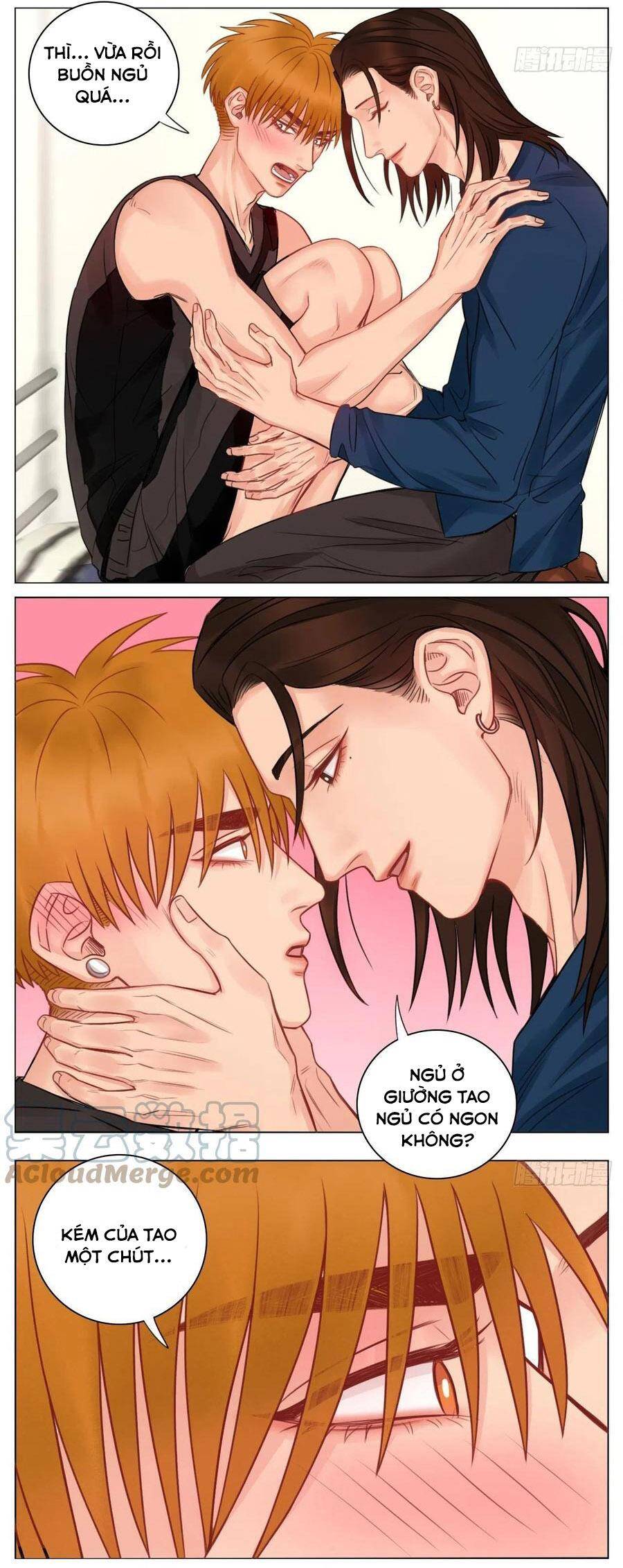 Ký Túc Xá Nam Phòng 303 Chapter 53 - 14