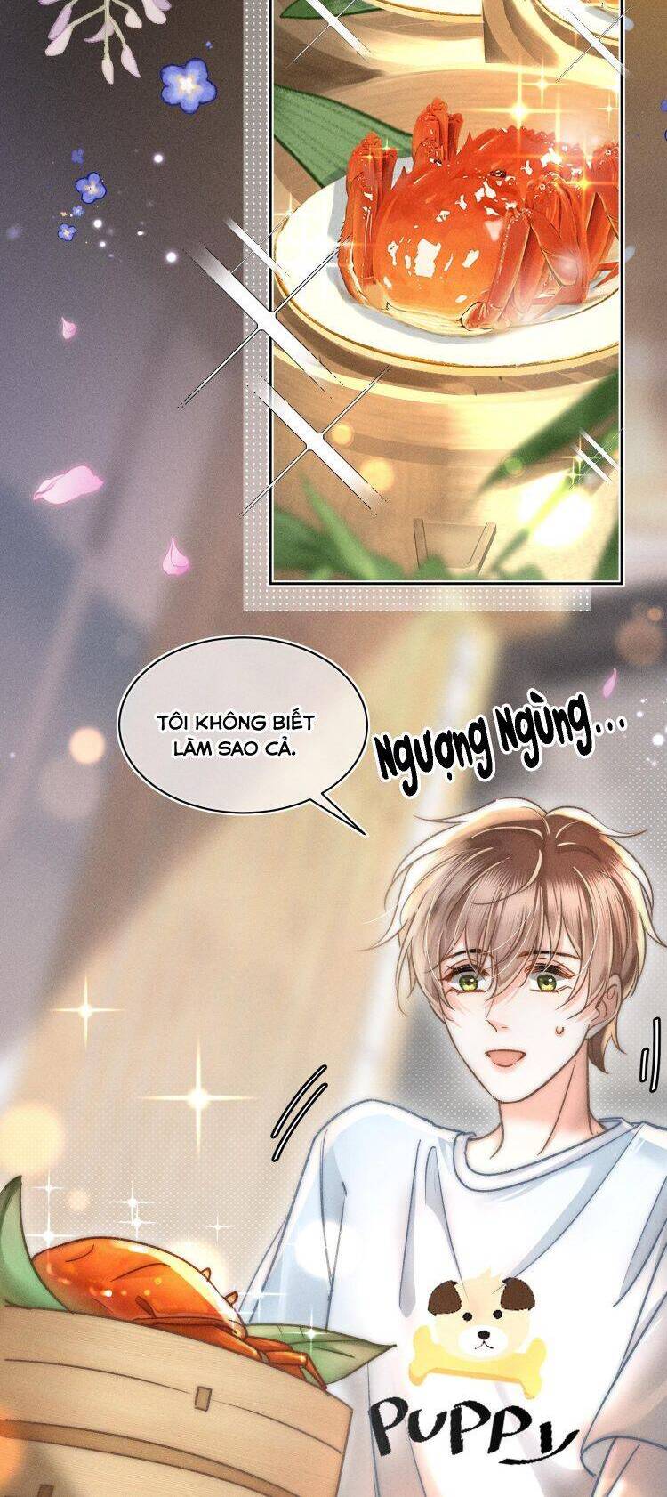 Ánh Trăng Vì Tôi Mà Đến Chapter  39 - 19