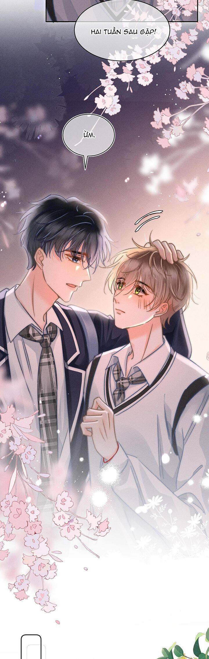 Ánh Trăng Vì Tôi Mà Đến Chapter  46 - 19