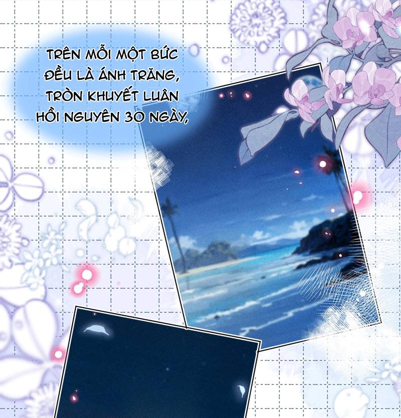 Ánh Trăng Vì Tôi Mà Đến Chapter  49 - 62