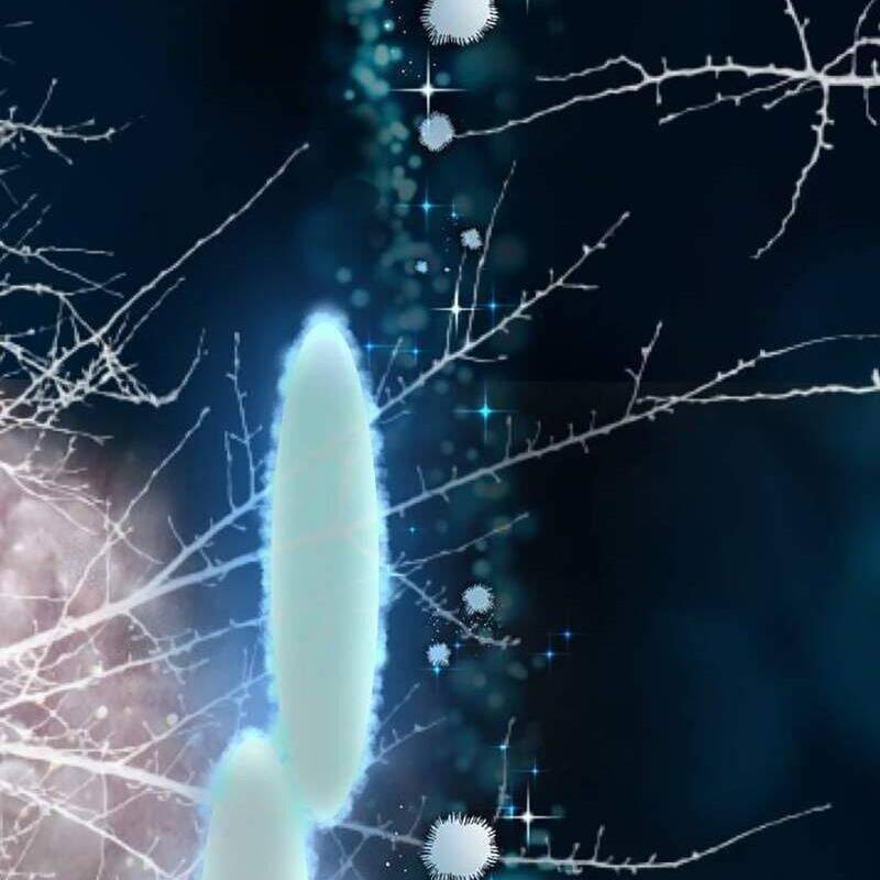 Vinh Quang Vô Tận Chapter  25 - 237