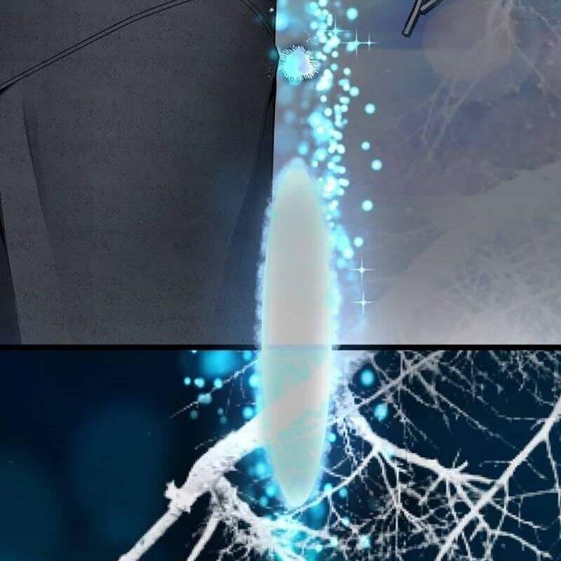 Vinh Quang Vô Tận Chapter  25 - 240