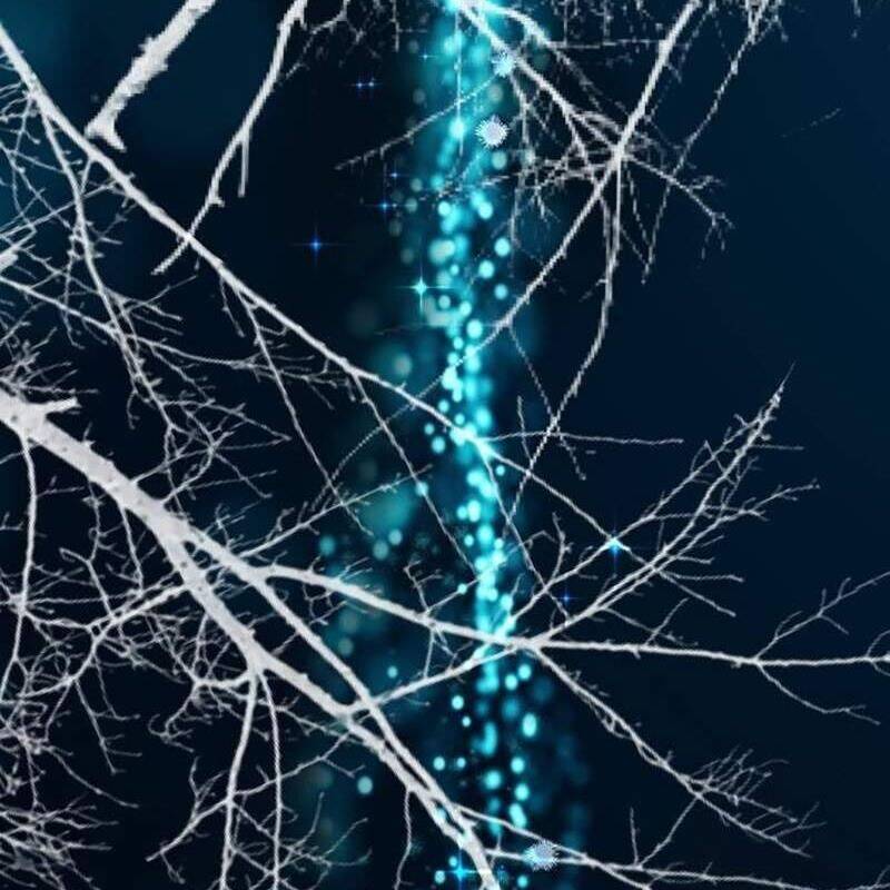 Vinh Quang Vô Tận Chapter  25 - 241