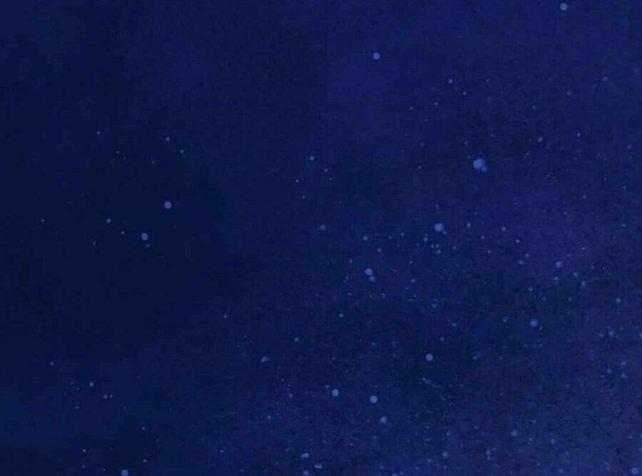 Vinh Quang Vô Tận Chapter  38 - 148