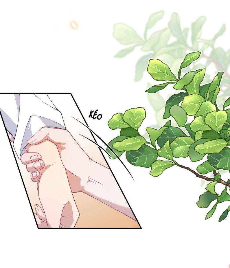 Gài Bẫy Ác Khuyển Chapter  28 - 40