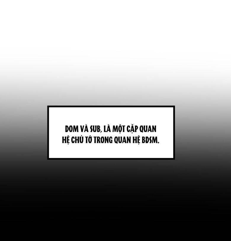 Anh Ấy Đến Từ Màn Đêm Chapter  23 - 26