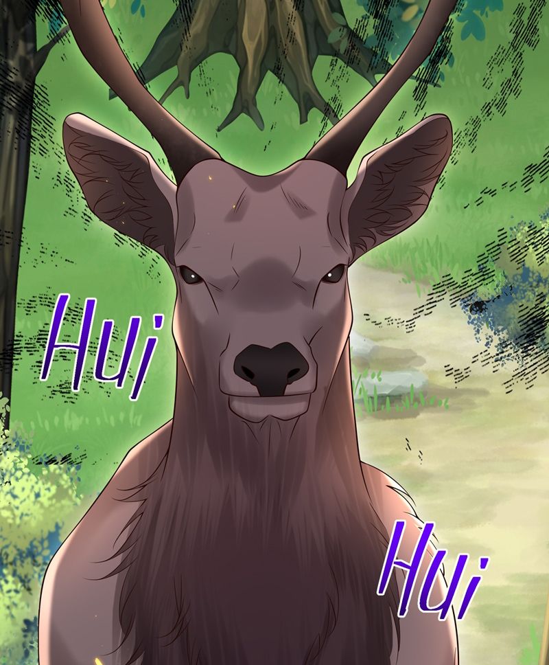 Anh Ấy Đến Từ Màn Đêm Chapter 39 - 43