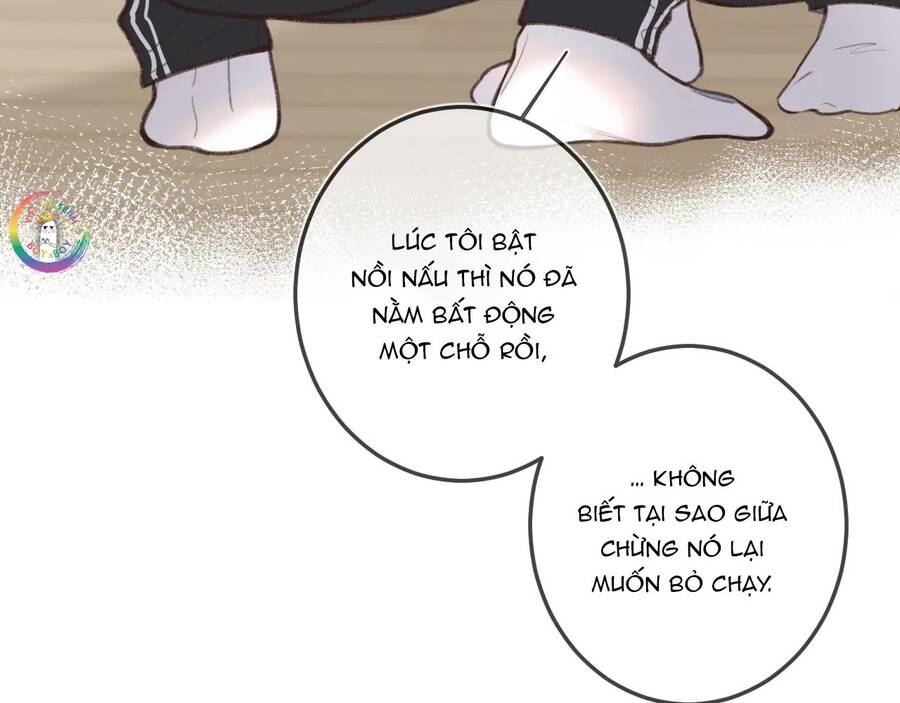 Em Đến Cùng Cơn Gió Chapter 12 - 44