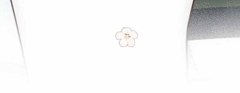 Em Đến Cùng Cơn Gió Chapter 24 - 77