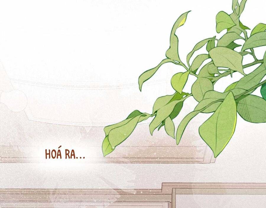 Em Đến Cùng Cơn Gió Chapter 26 - 38