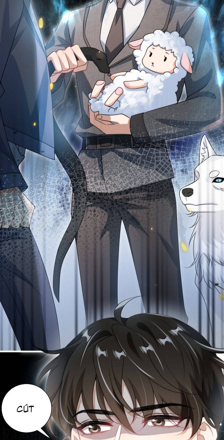 Thẳng Thắn Từ Nghiêm Chapter 135 - 6