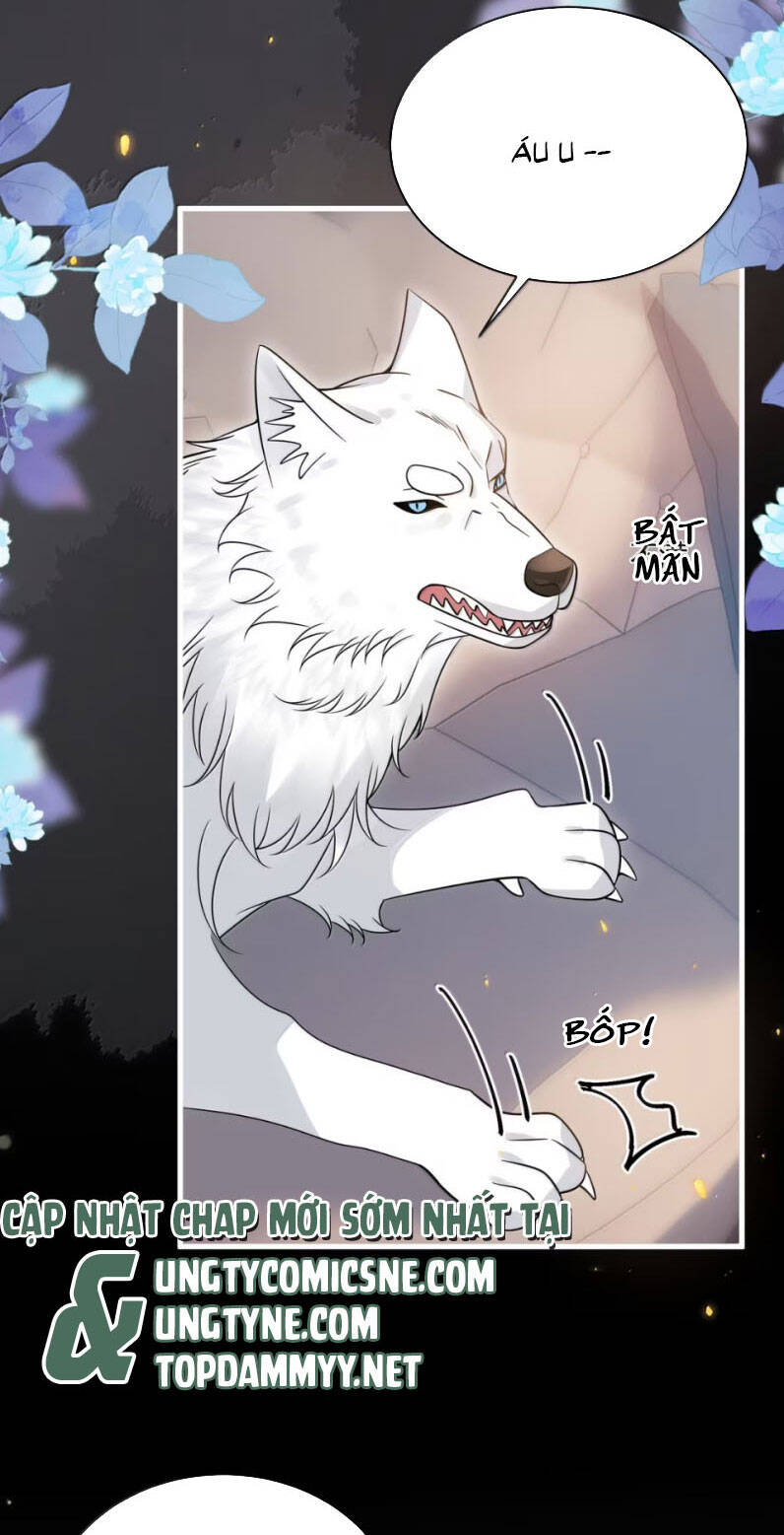 Thẳng Thắn Từ Nghiêm Chapter 136 - 12