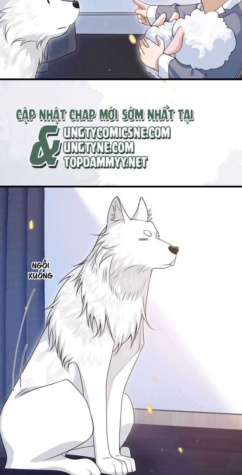 Thẳng Thắn Từ Nghiêm Chapter 137 - 9