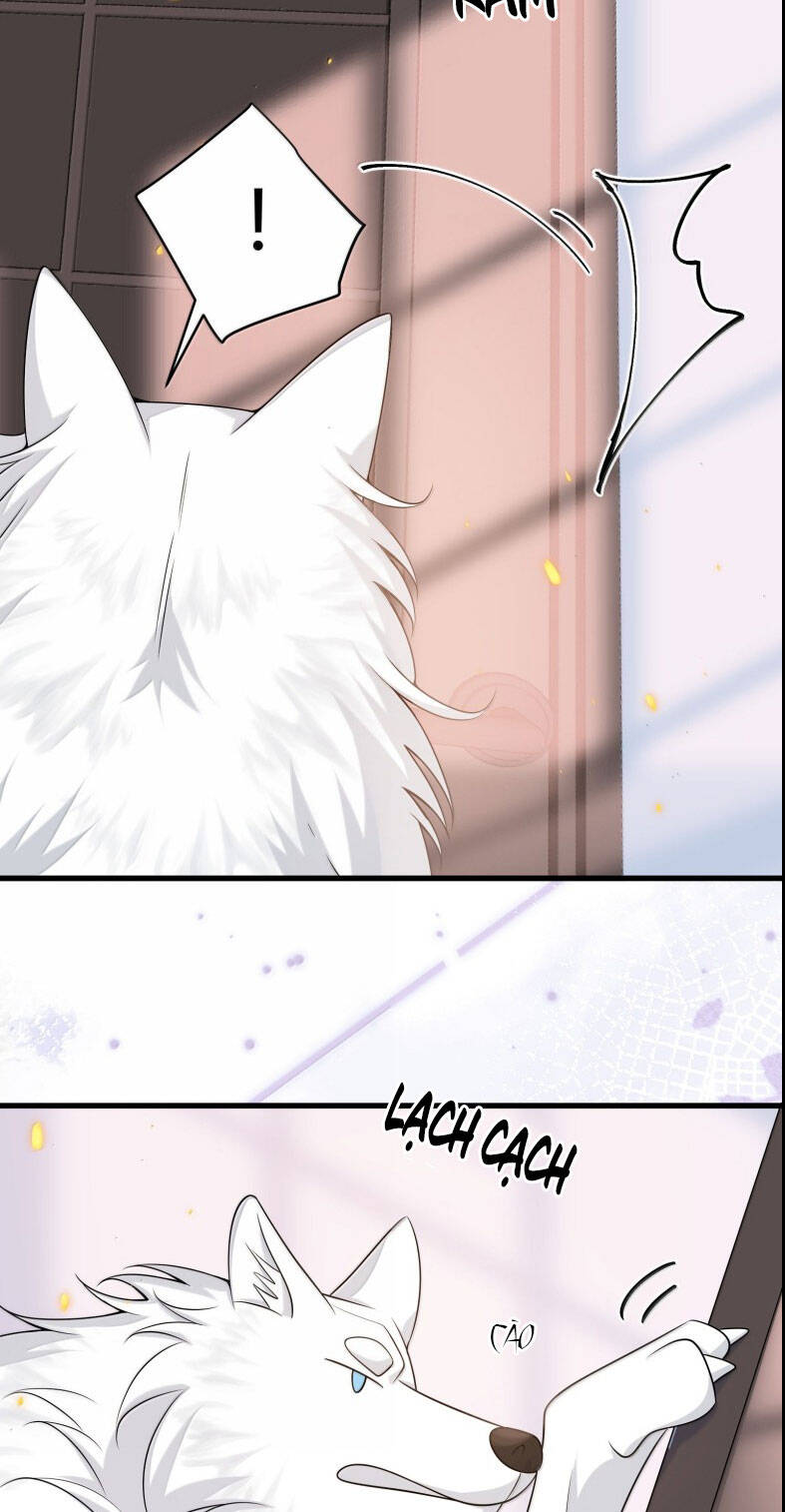 Thẳng Thắn Từ Nghiêm Chapter 139 - 10