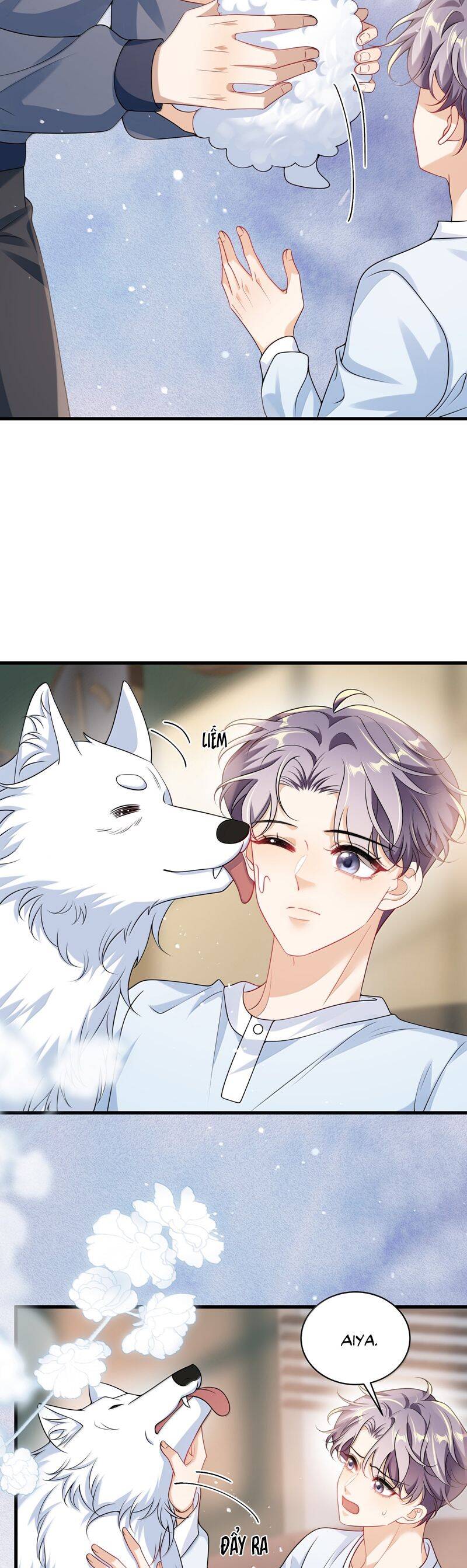 Thẳng Thắn Từ Nghiêm Chapter 144 - 8