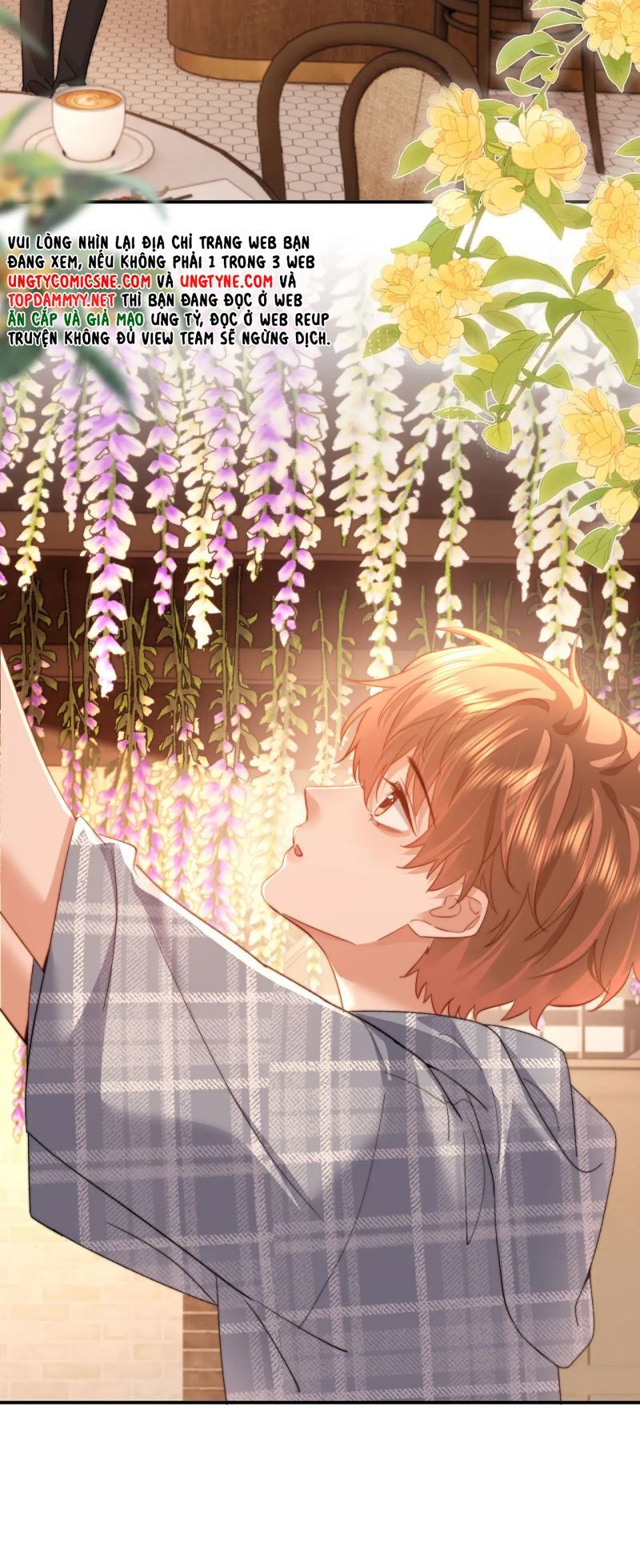 Chất Dị Ứng Đáng Yêu Chapter 104 - 5