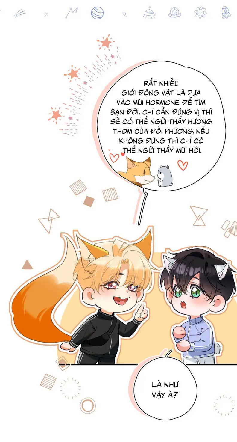 Từ Số Không Bắt Đầu Làm Bạn Trai Chapter 13 - 42