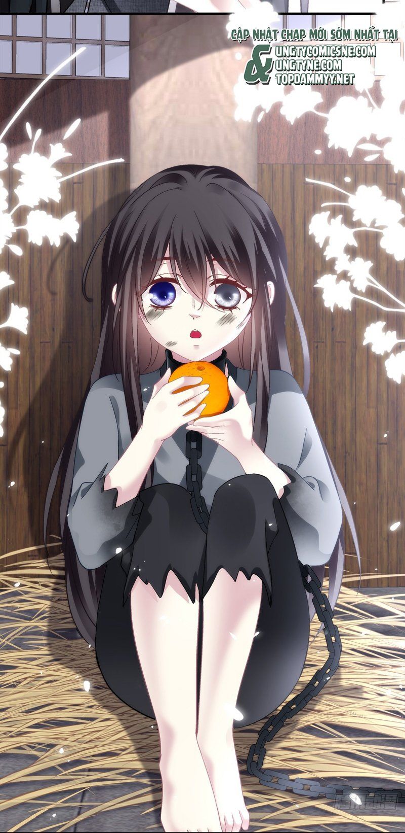 Hắc Hóa Đại Lão Thuần Dưỡng Chỉ Nam Chapter 201 - 17