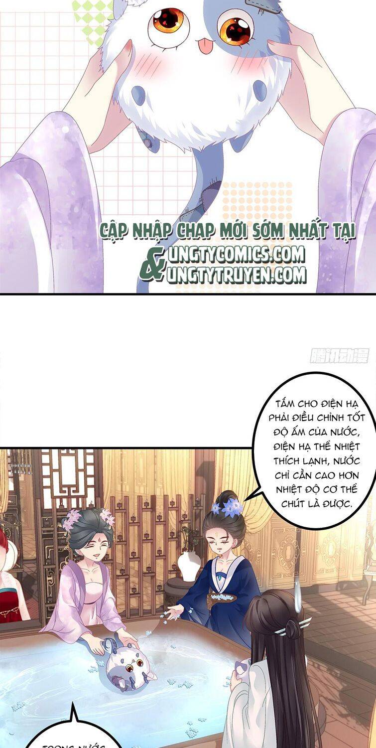 Hắc Hóa Đại Lão Thuần Dưỡng Chỉ Nam Chapter 38 - 11