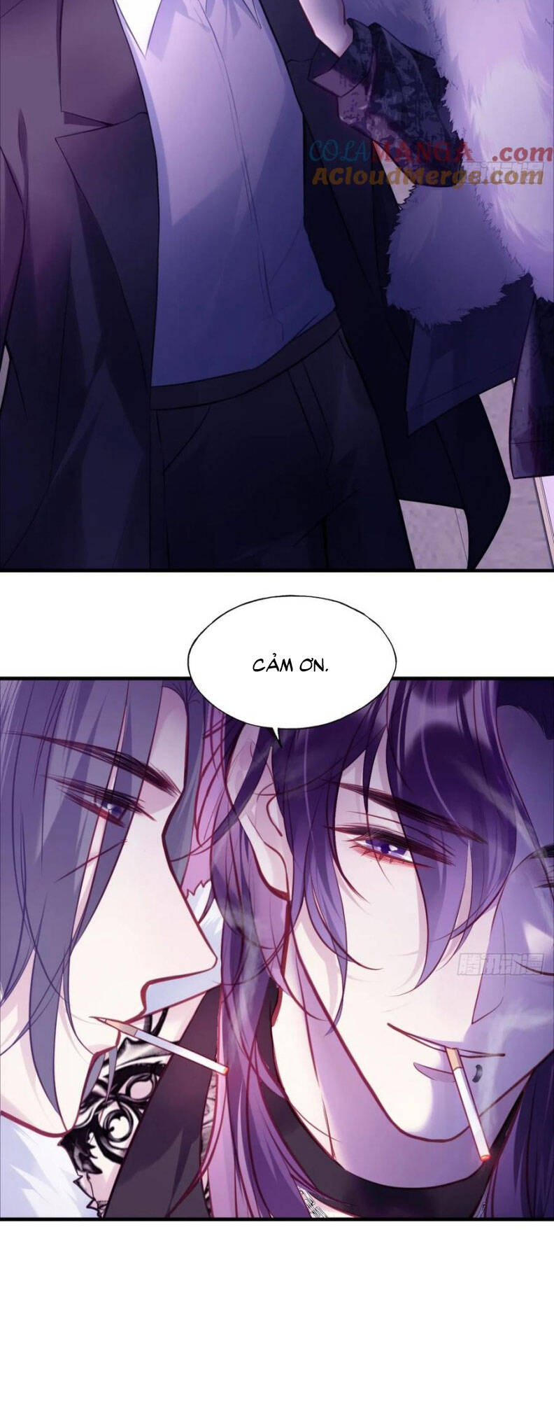 Anh Ấy Chưa Từng Rơi Xuống Chapter 105 - 13