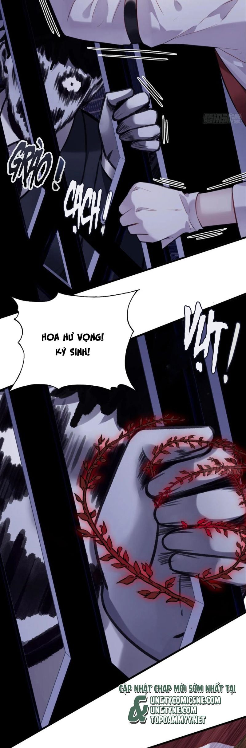 Anh Ấy Chưa Từng Rơi Xuống Chapter 117 - 6