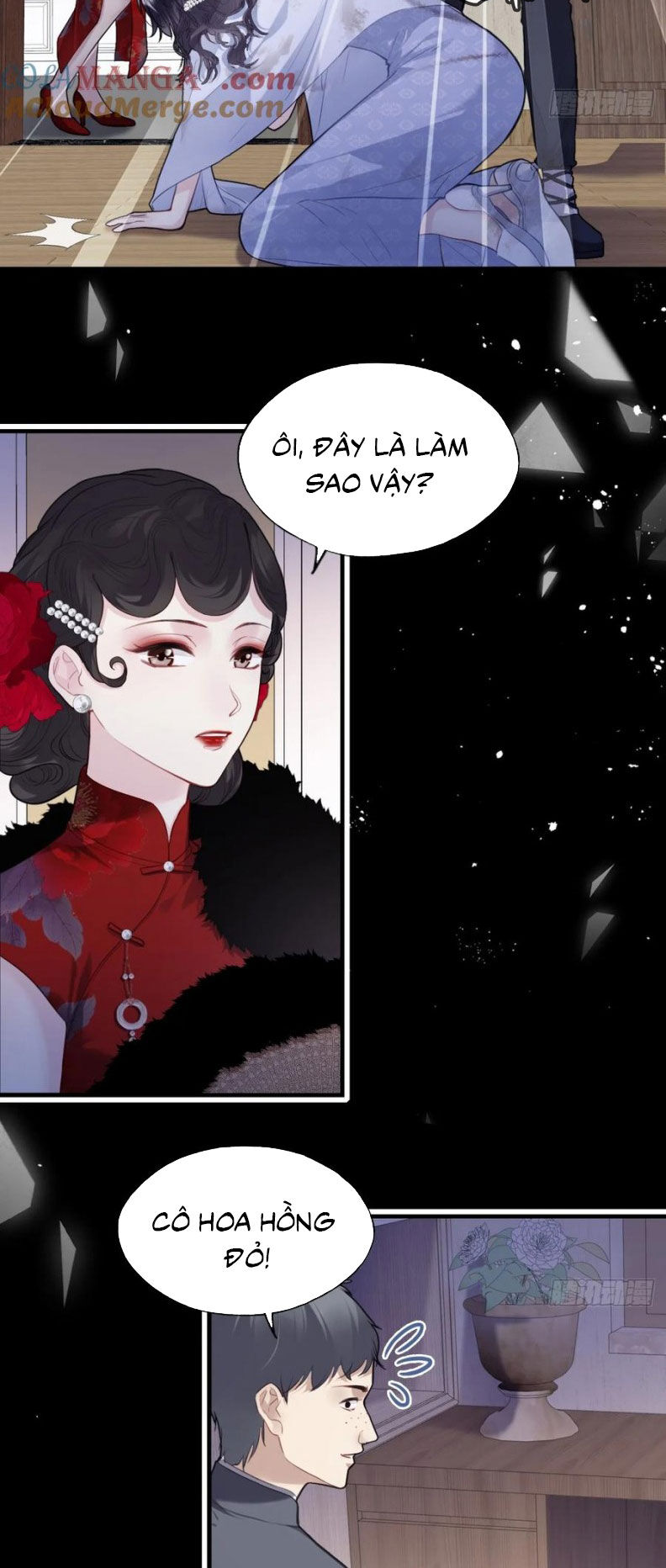 Anh Ấy Chưa Từng Rơi Xuống Chapter 119 - 5